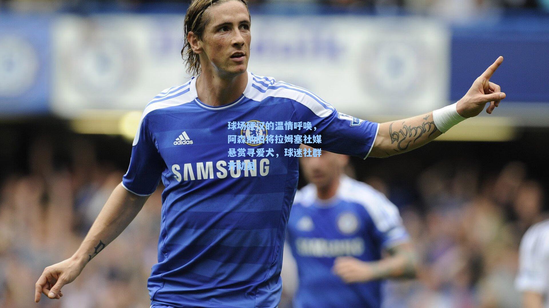 球场硬汉的温情呼唤，阿森纳旧将拉姆塞社媒悬赏寻爱犬，球迷社群齐动员